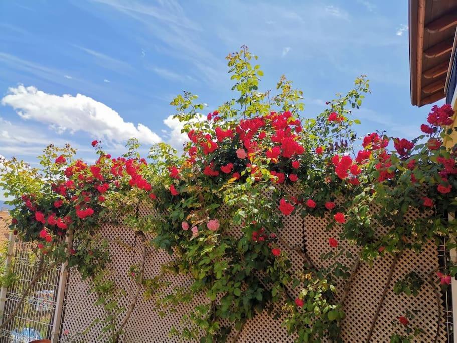 Estancia Con Jardin Entre Golf Y Monte - Cerca Logrono Sojuela Εξωτερικό φωτογραφία