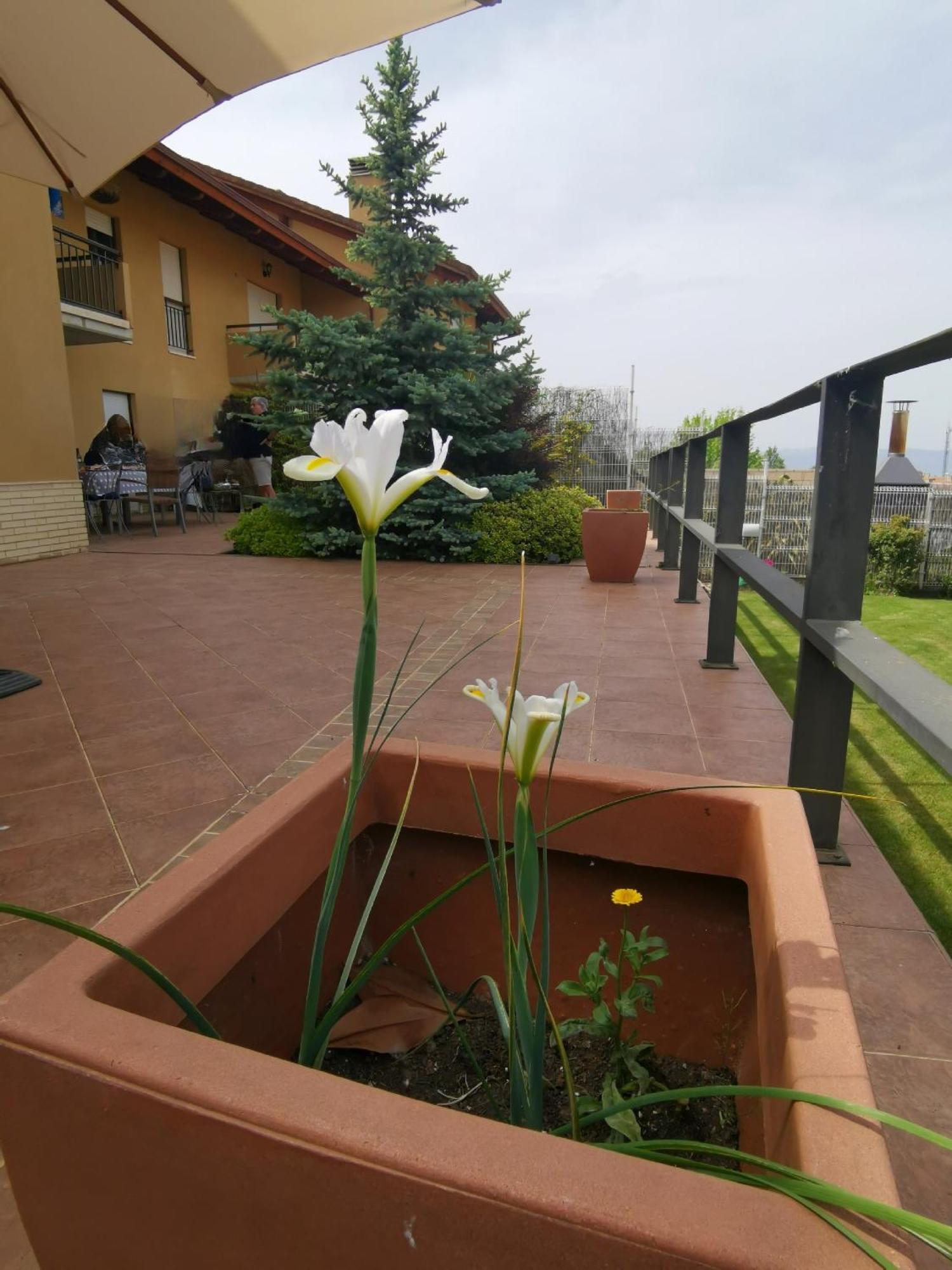 Estancia Con Jardin Entre Golf Y Monte - Cerca Logrono Sojuela Εξωτερικό φωτογραφία